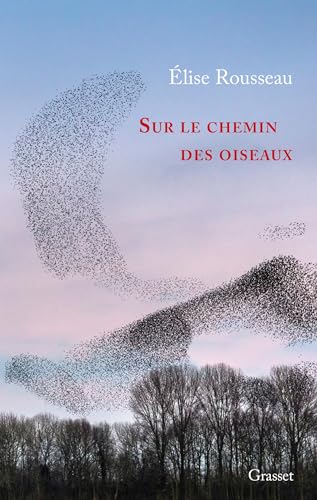 Sur le chemin des oiseaux: Récit
