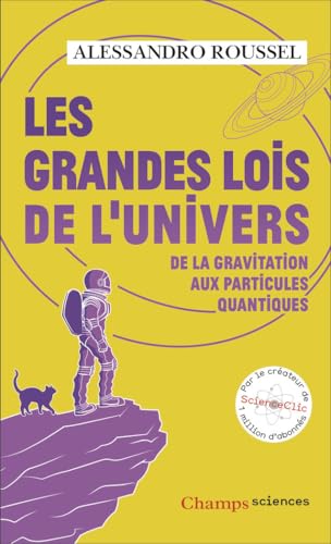 Les Grandes Lois de l'Univers: De la gravitation aux particules quantiques von FLAMMARION