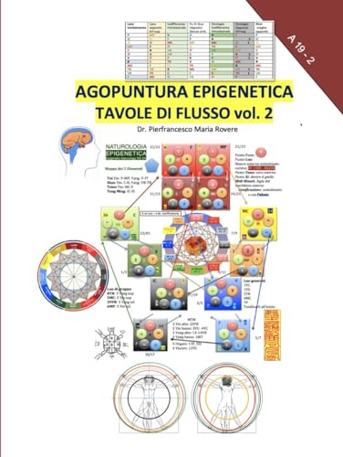 Agopuntura Epigenetica Tavole di Flusso 2 (NATUROLOGIA EPIGENETICA e Self-Caregiver) von Independently published