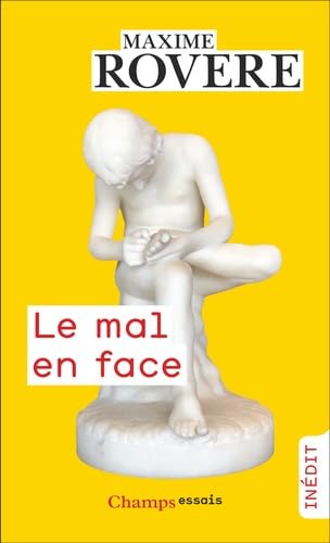 Le mal en face: Le Mal, le soin, La mort von FLAMMARION