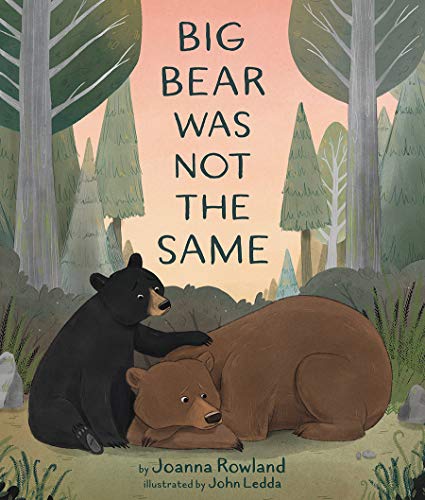 Big Bear Was Not the Same von Beaming Books