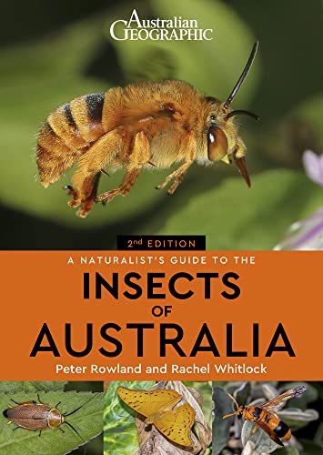 A Naturalist's Guide to the Insects of Australia (Naturalist's Guides) von John Beaufoy Publishing Ltd