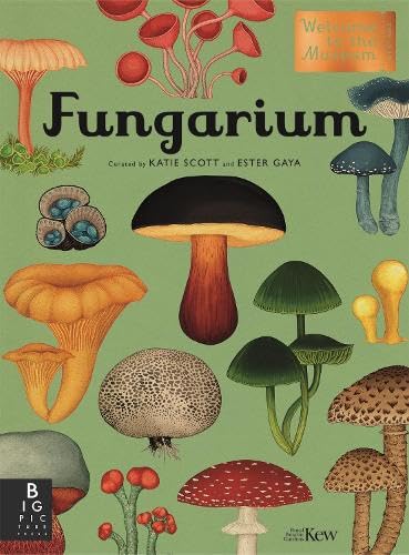 Fungarium (Welcome To The Museum) von Big Picture Press
