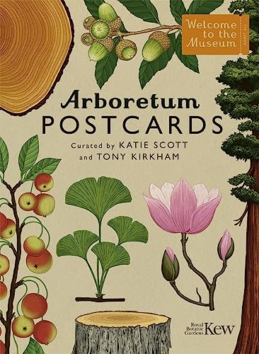 Arboretum Postcards: by illustrator Katie Scott (Welcome To The Museum) von Big Picture Press
