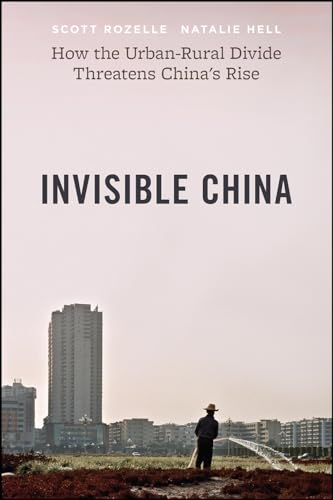 Invisible China: How the Urban-Rural Divide Threatens China's Rise von University of Chicago Press