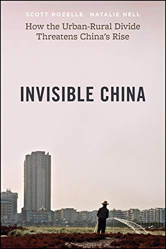 Invisible China: How the Urban-Rural Divide Threatens China’s Rise von University of Chicago Press