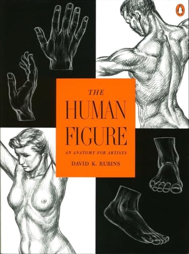 The Human Figure: An Anatomy for Artists