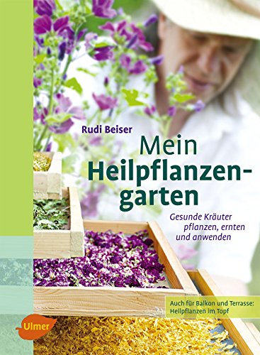 Mein Heilpflanzengarten: Gesunde Kräuter pflanzen, ernten und anwenden von Ulmer Eugen Verlag