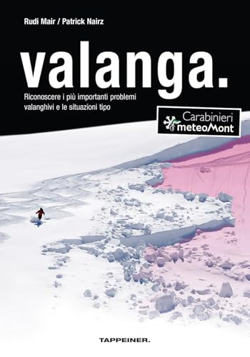 Valanga: Riconoscere le più importanti problemi valanghivi e le situazioni tipo von Athesia Tappeiner Verlag