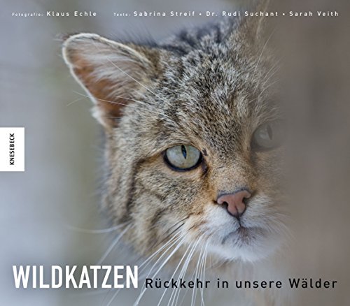 Wildkatzen: Rückkehr in unsere Wälder von Knesebeck Von Dem GmbH