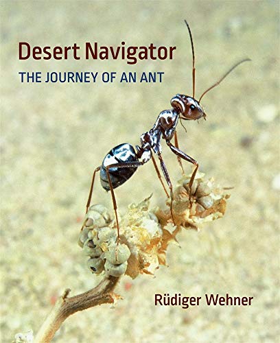 Desert Navigator: The Journey of an Ant Desert Navigator: The Journey of an Ant