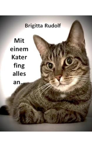 Alles fing mit einem Kater an