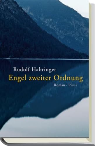 Engel zweiter Ordnung: Roman
