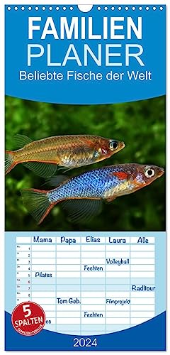 Familienplaner 2024 - Beliebte Fische der Welt mit 5 Spalten (Wandkalender, 21 cm x 45 cm) CALVENDO
