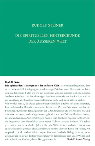 Die spirituellen Hintergründe der äußeren Welt. Der Sturz der Geister der Finsternis: Vierzehn Vorträge, Dornach, 1917 (Rudolf Steiner Gesamtausgabe: Schriften und Vorträge) von Steiner Verlag, Dornach