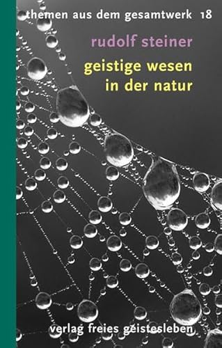 Geistige Wesen in der Natur: 12 Vorträge (Rudolf-Steiner-Themen-Taschenbücher)