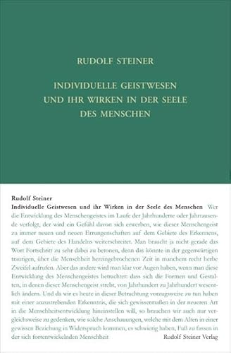 Individuelle Geistwesen und ihr Wirken in der Seele des Menschen: Neun Vorträge, gehalten in St. Gallen, Zürich und Dornach vom 6. bis 25. November ... Gesamtausgabe: Schriften und Vorträge)