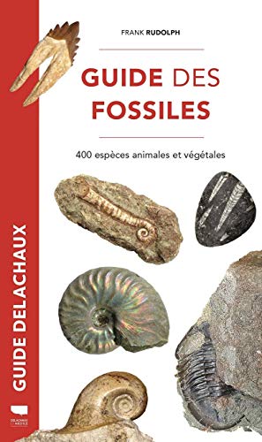 Guide des fossiles: 400 espèces animales et végétales
