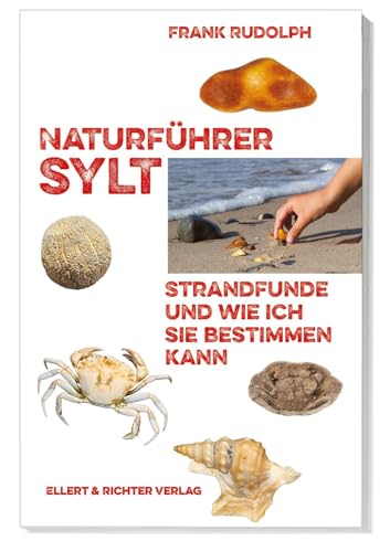 Naturführer Sylt: Strandfunde und wie ich sie bestimmen kann