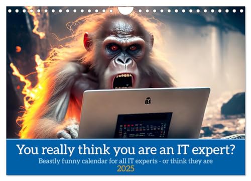You really think you are an IT expert (Wandkalender 2025 DIN A4 quer), CALVENDO Monatskalender von CALVENDO