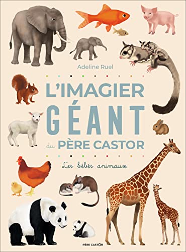 L'Imagier géant du Père Castor: Les bébés animaux