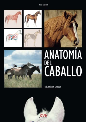 Anatomía del caballo von De Vecchi Ediciones