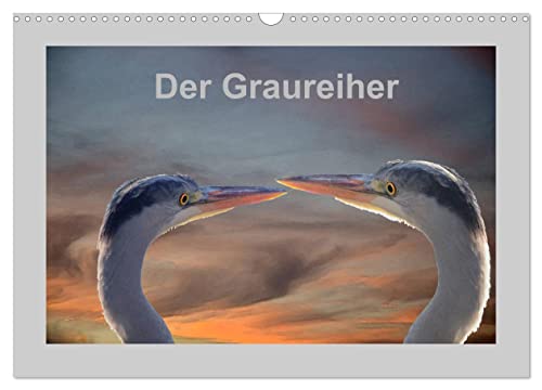 Der Graureiher (Wandkalender 2024 DIN A3 quer), CALVENDO Monatskalender