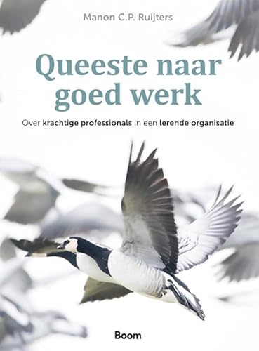 Queeste naar goed werk: Over krachtige professionals in een lerende organisatie von Boom