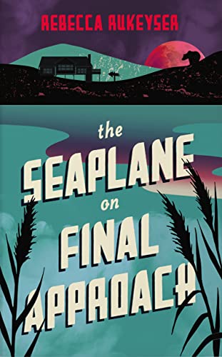 The Seaplane on Final Approach von Granta Publications