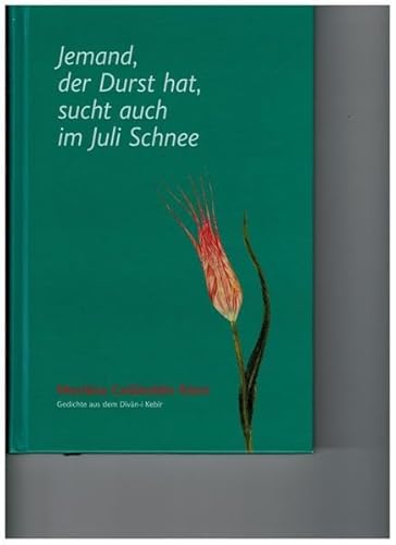 Jemand, der Durst hat sucht auch im Juli Schnee: Gedichte aus dem Divan-i Kebir