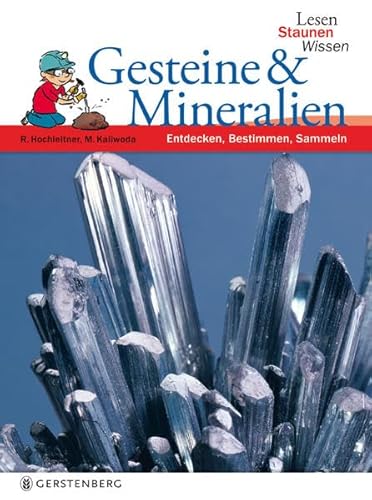 Gesteine & Mineralien: Lesen - Staunen - Wissen