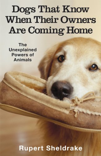 Dogs That Know When Their Owners Are Coming Home: And Other Unexplained Powers of Animals von Arrow