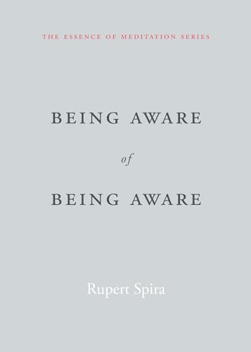 Being Aware of Being Aware: The Essence of Meditation, Volume 1 (Essence of Mediation) von New Harbinger