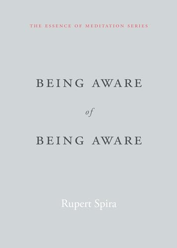Being Aware of Being Aware: The Essence of Meditation, Volume 1 (Essence of Mediation) von Sahaja