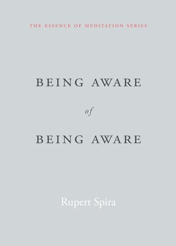 Being Aware of Being Aware: The Essence of Meditation, Volume 1 (Essence of Mediation)