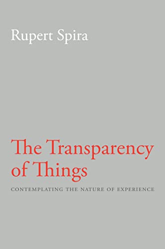 Transparency of Things: Contemplating the Nature of Experience von New Harbinger