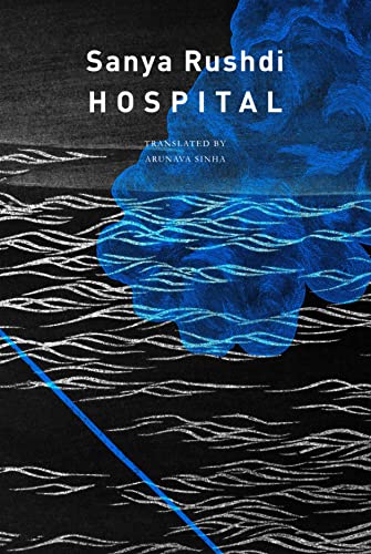 Hospital von Seagull Books London Ltd