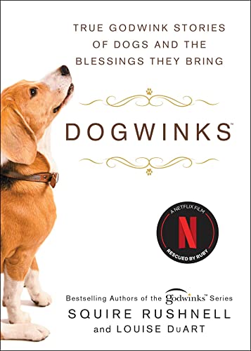 Dogwinks: True Godwink Stories of Dogs and the Blessings They Bring (The Godwink Series, Band 6)