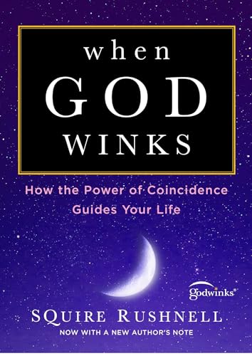 When God Winks: How the Power of Coincidence Guides Your Life (The Godwink Series, Band 1) von Howard Books