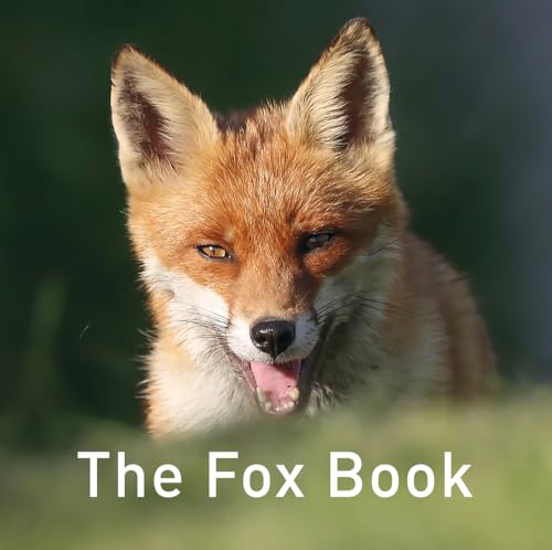 The Fox Book (Nature Book) von Graffeg
