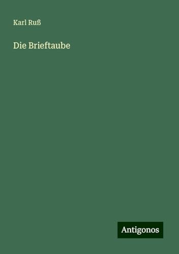 Die Brieftaube