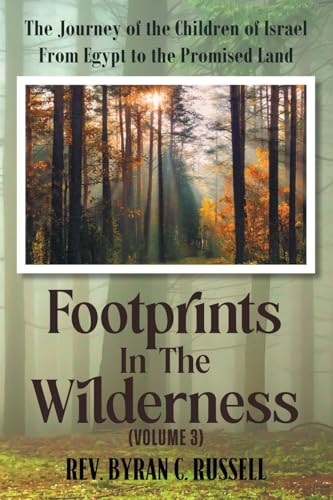 Footprints in the Wilderness (Volume 3): The Journey of the Children of Israel From Egypt to the Promised Land von Kravitz and Sons LLC