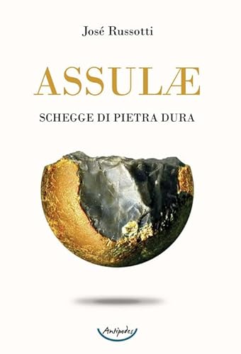 Assulæ. Schegge di pietra dura von Antipodes