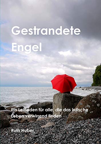 Gestrandete Engel: Leitfaden für alle, die das irdische Leben verwirrend finden. von Ruth Huber