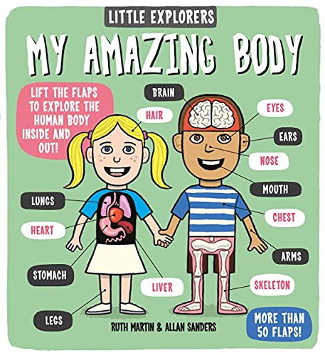 Little Explorers: My Amazing Body