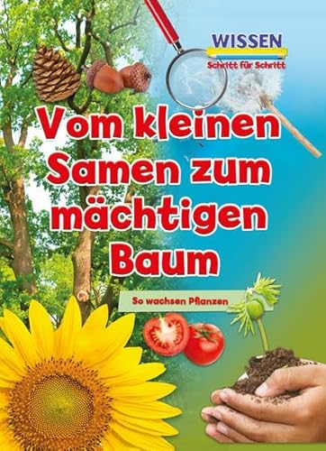 Vom kleinen Samen zum mächtigen Baum: Wissen - Schritt für Schritt (CORONA Sachbücher) von Ars Scribendi Verlag