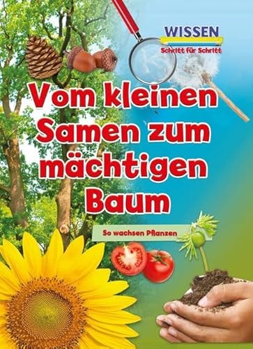 Vom kleinen Samen zum mächtigen Baum: Wissen - Schritt für Schritt (CORONA Sachbücher)