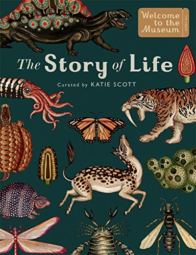 The Story of Life: Evolution (Extended Edition): by Ruth Symons and illustrator Katie Scott (Welcome To The Museum) von BONNIER