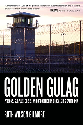 Golden Gulag: Prisons, Surplus, Crisis, and Opposition in Globalizing California (American Crossroads, 21, Band 21)