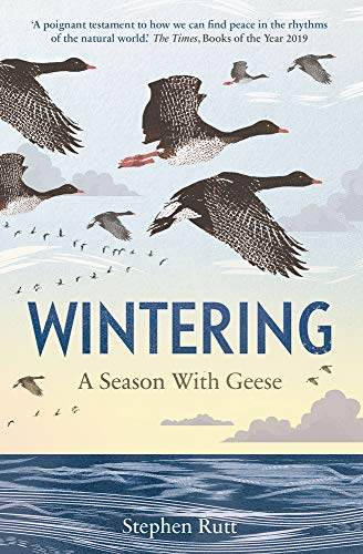 Wintering: A Season With Geese von Elliott & Thompson Limited